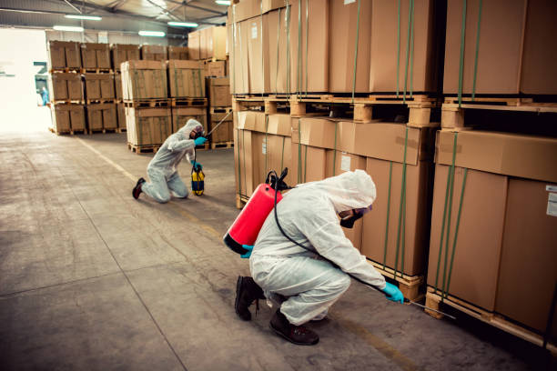 Wasp Removal Services in Gordon, GA