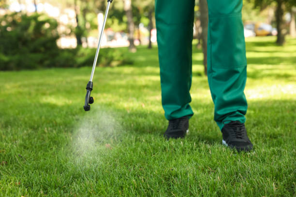 Best Flea Control Services  in Gordon, GA
