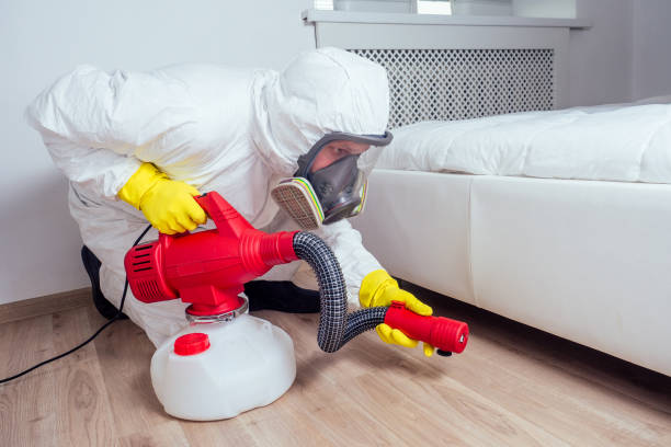 Best Pest Prevention Services  in Gordon, GA