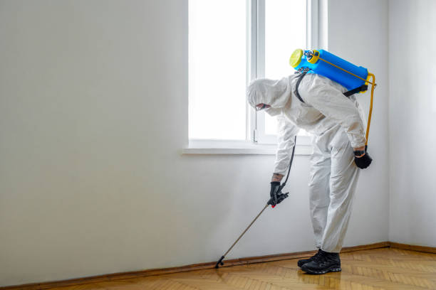 Best Cockroach Control Services  in Gordon, GA