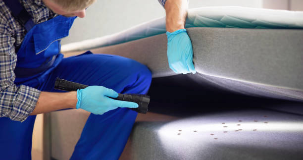 Best Wasp Removal Services  in Gordon, GA