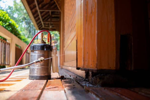 Best Affordable Pest Control Services  in Gordon, GA