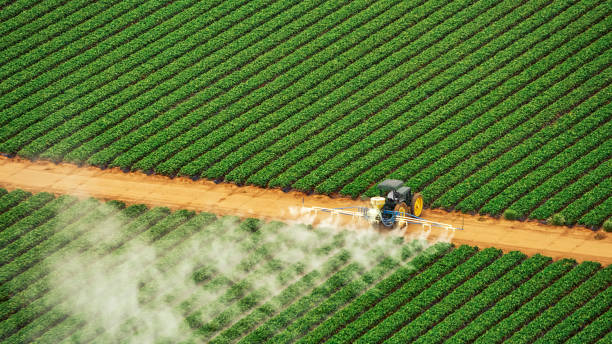 Best Termite Control Services  in Gordon, GA