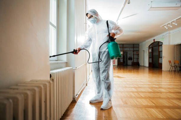 Best Wasp Removal Services  in Gordon, GA