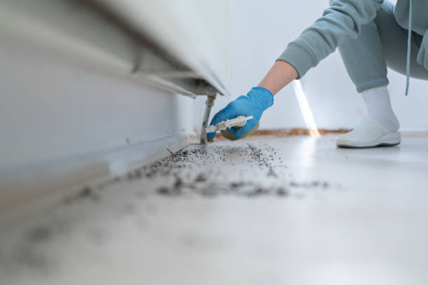 Best Mosquito Control Services  in Gordon, GA