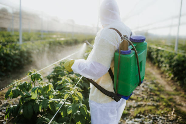 Best Wildlife Control Services  in Gordon, GA